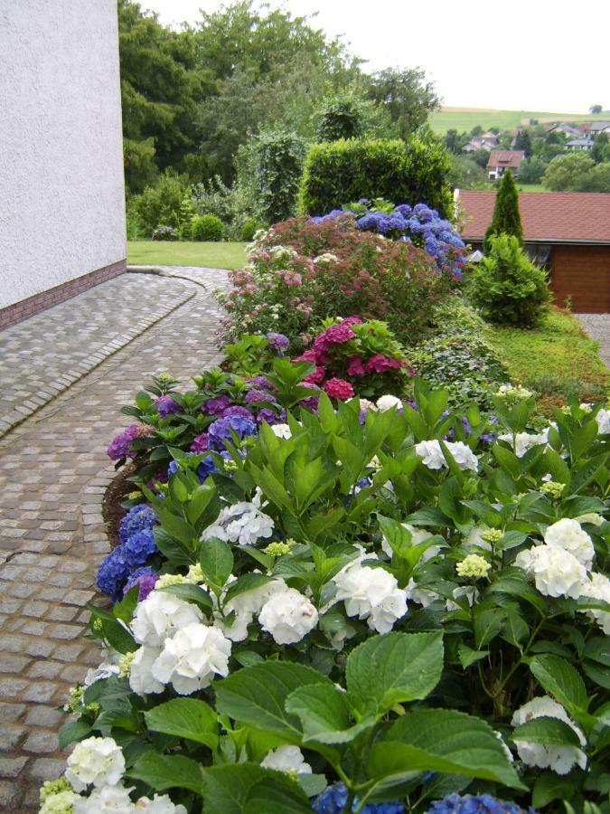 Ferienwohnung "Am Fuchsgraben" Tholey Zewnętrze zdjęcie